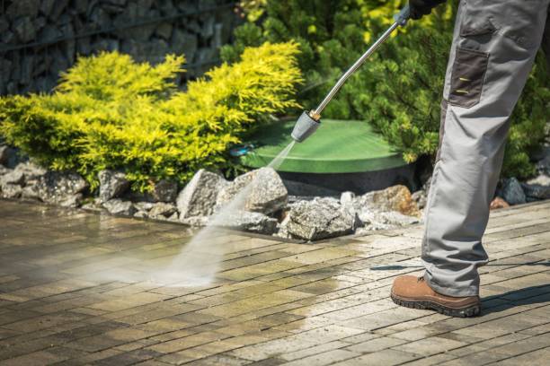Best Winterizing Services  in Americus, GA