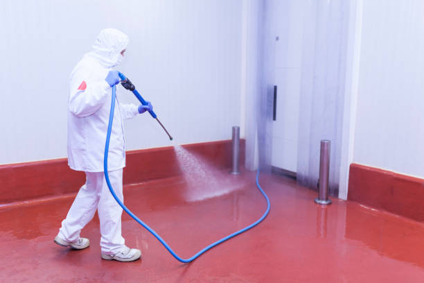 Best Boat and Dock Cleaning  in Americus, GA